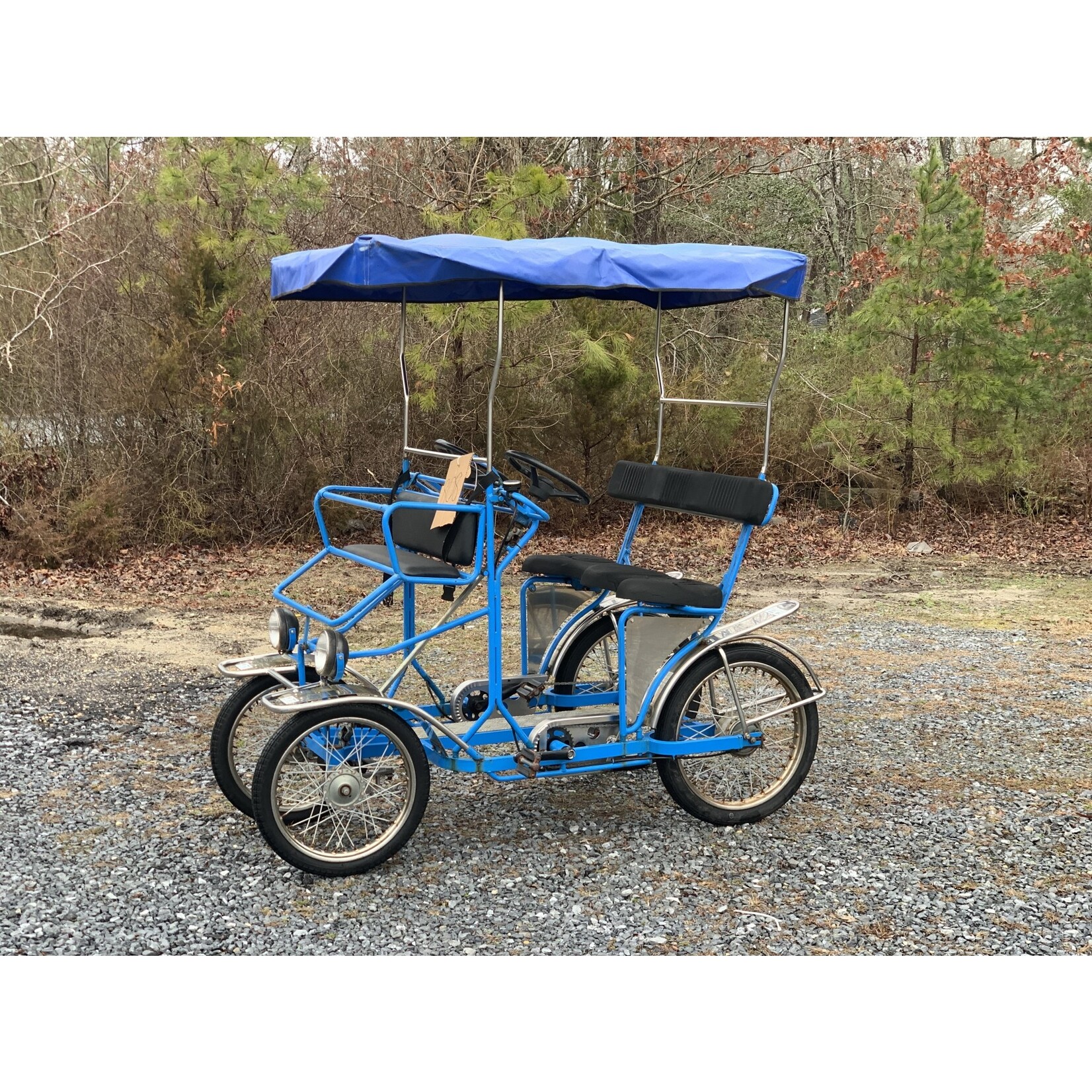 Used NewTecnoArt Selene Sport Surrey Bike (Blue #808)