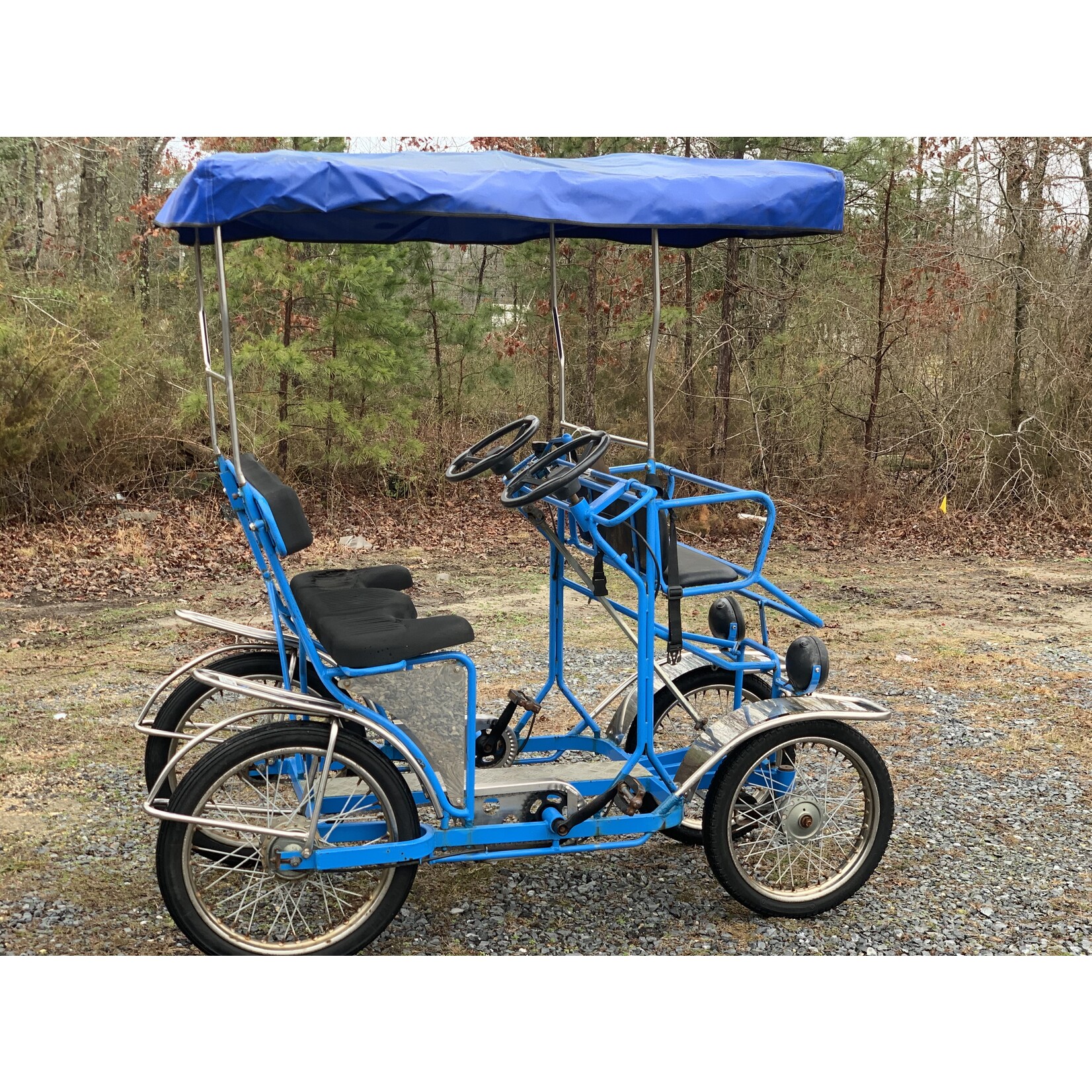 Used NewTecnoArt Selene Sport Surrey Bike (Blue #808)