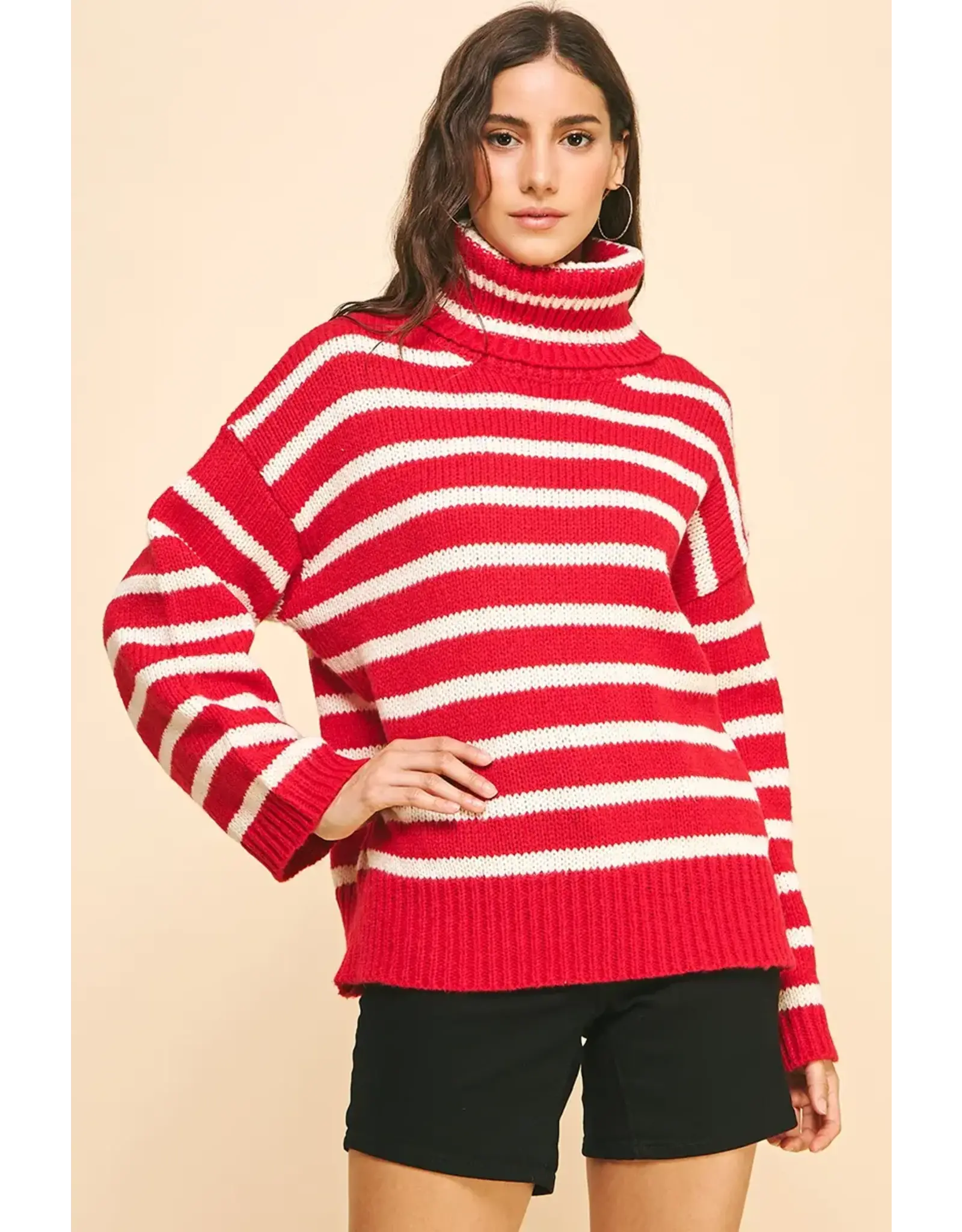 STRIPE TURTLE NECK SWEATER