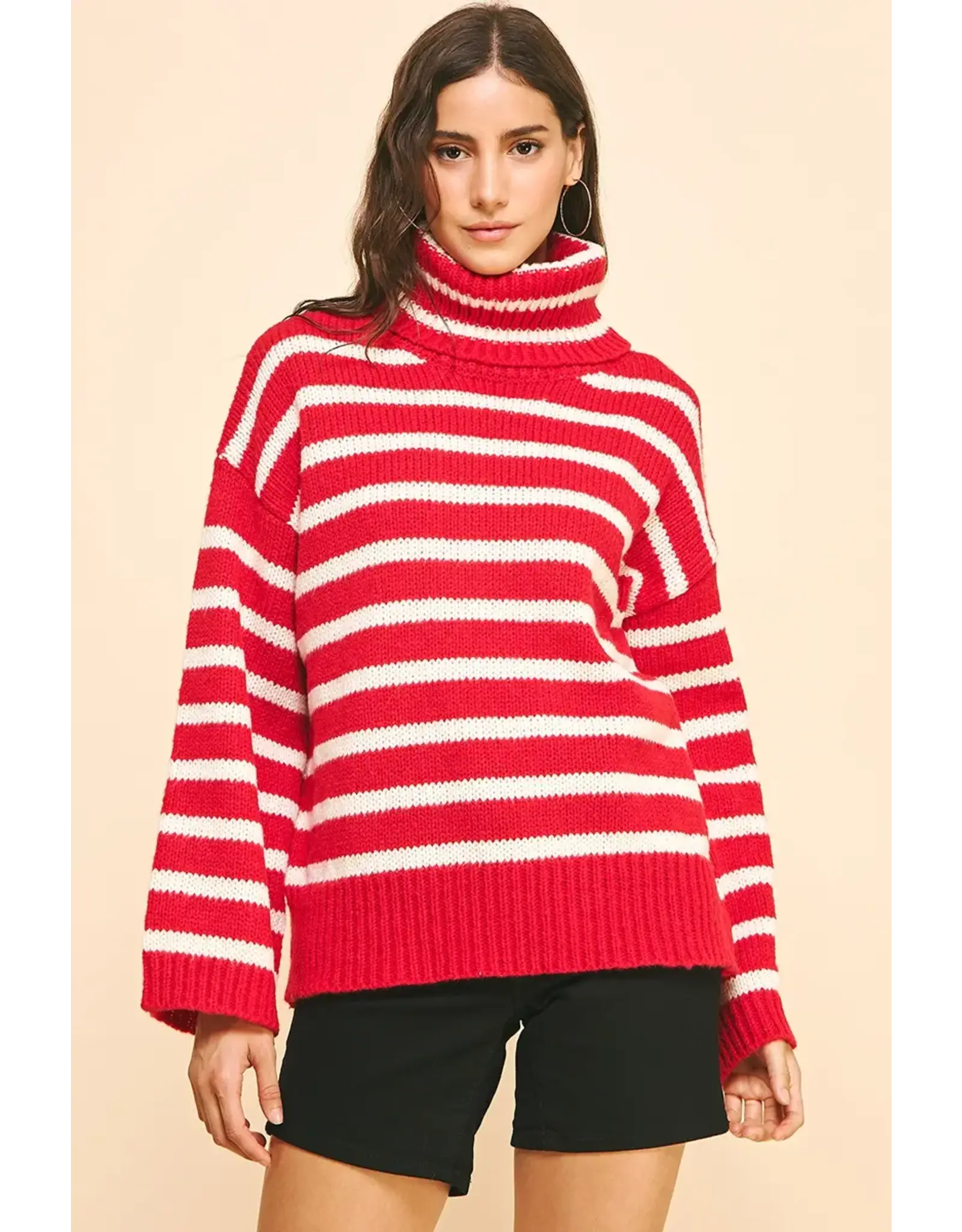 STRIPE TURTLE NECK SWEATER