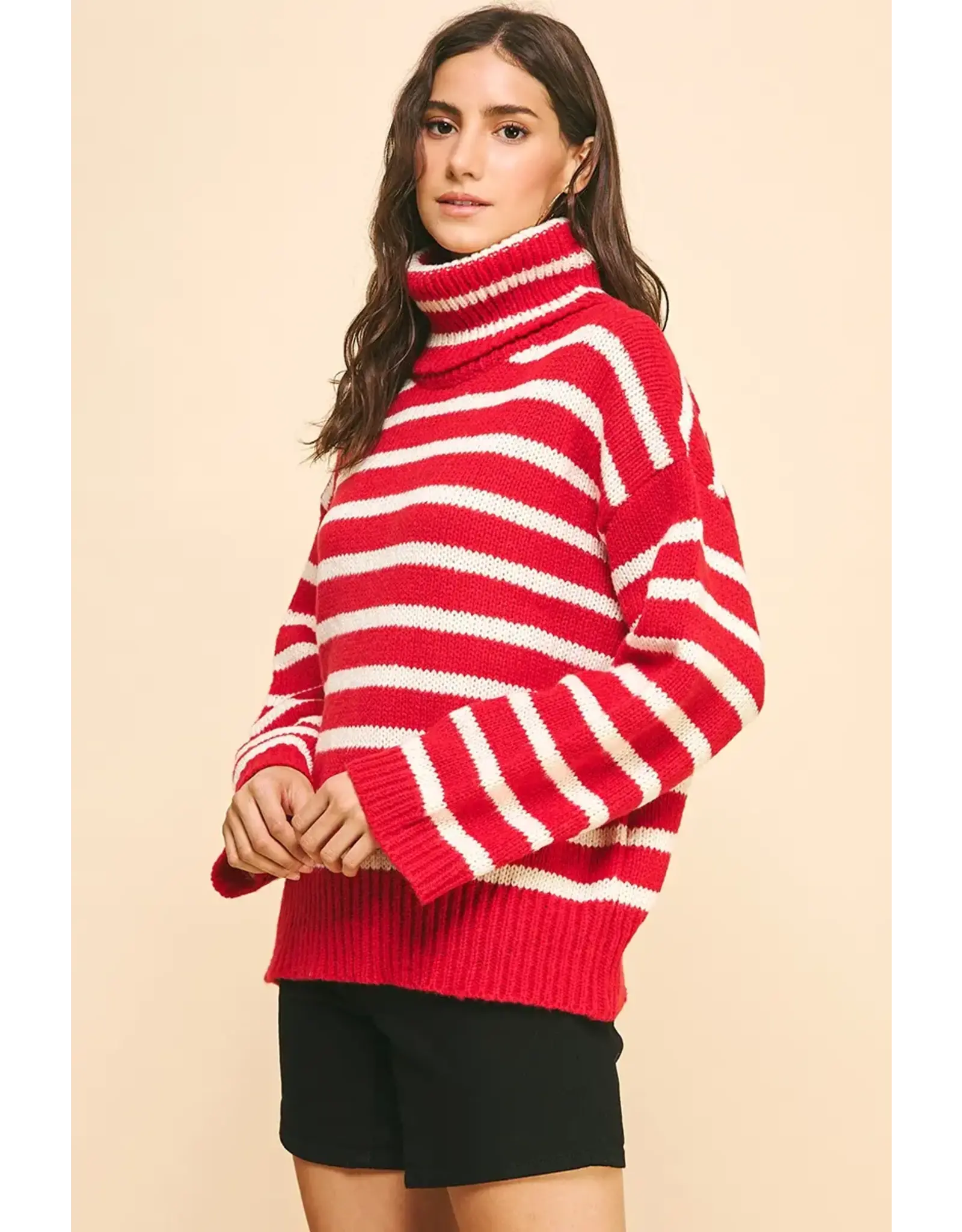 STRIPE TURTLE NECK SWEATER