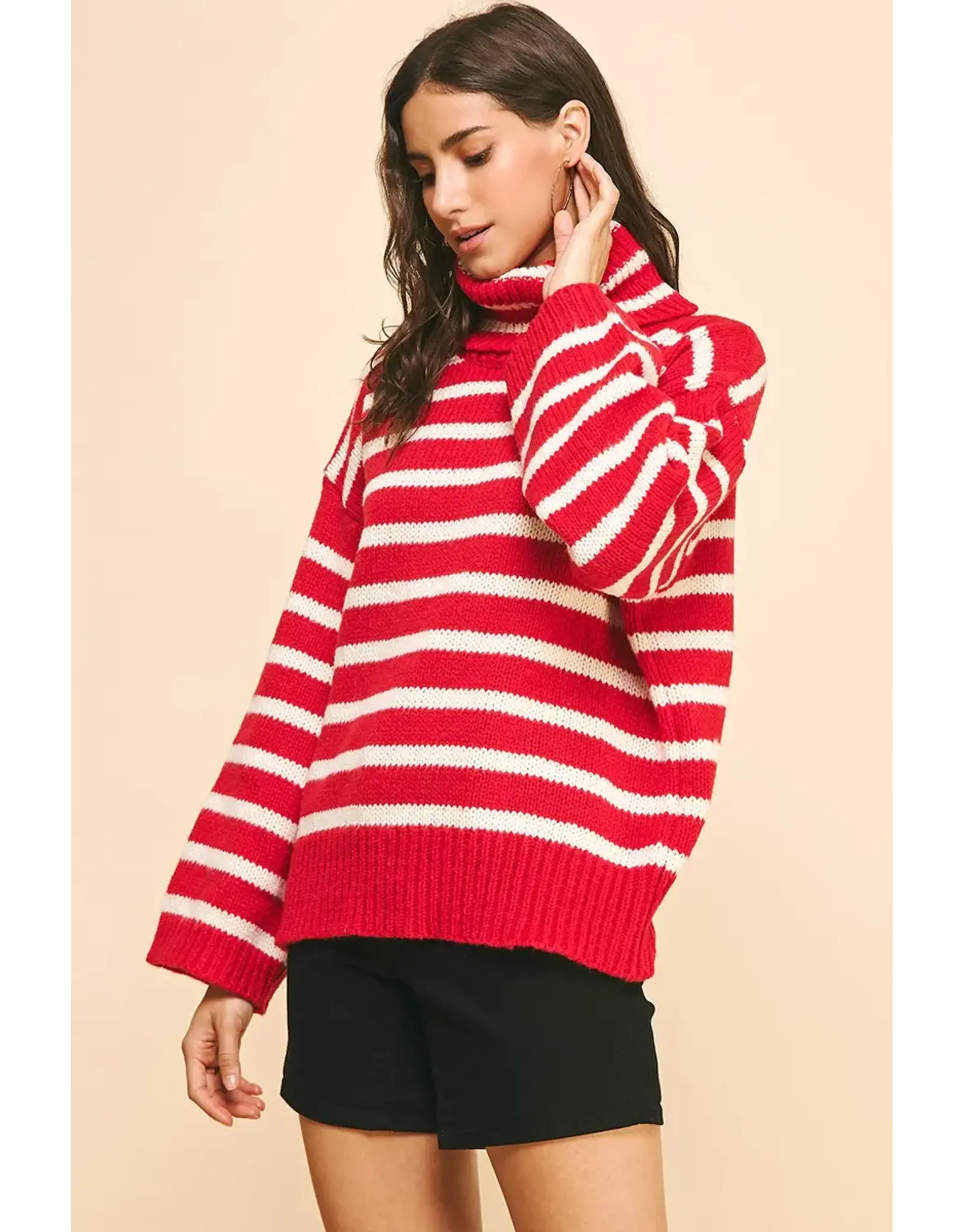 STRIPE TURTLE NECK SWEATER