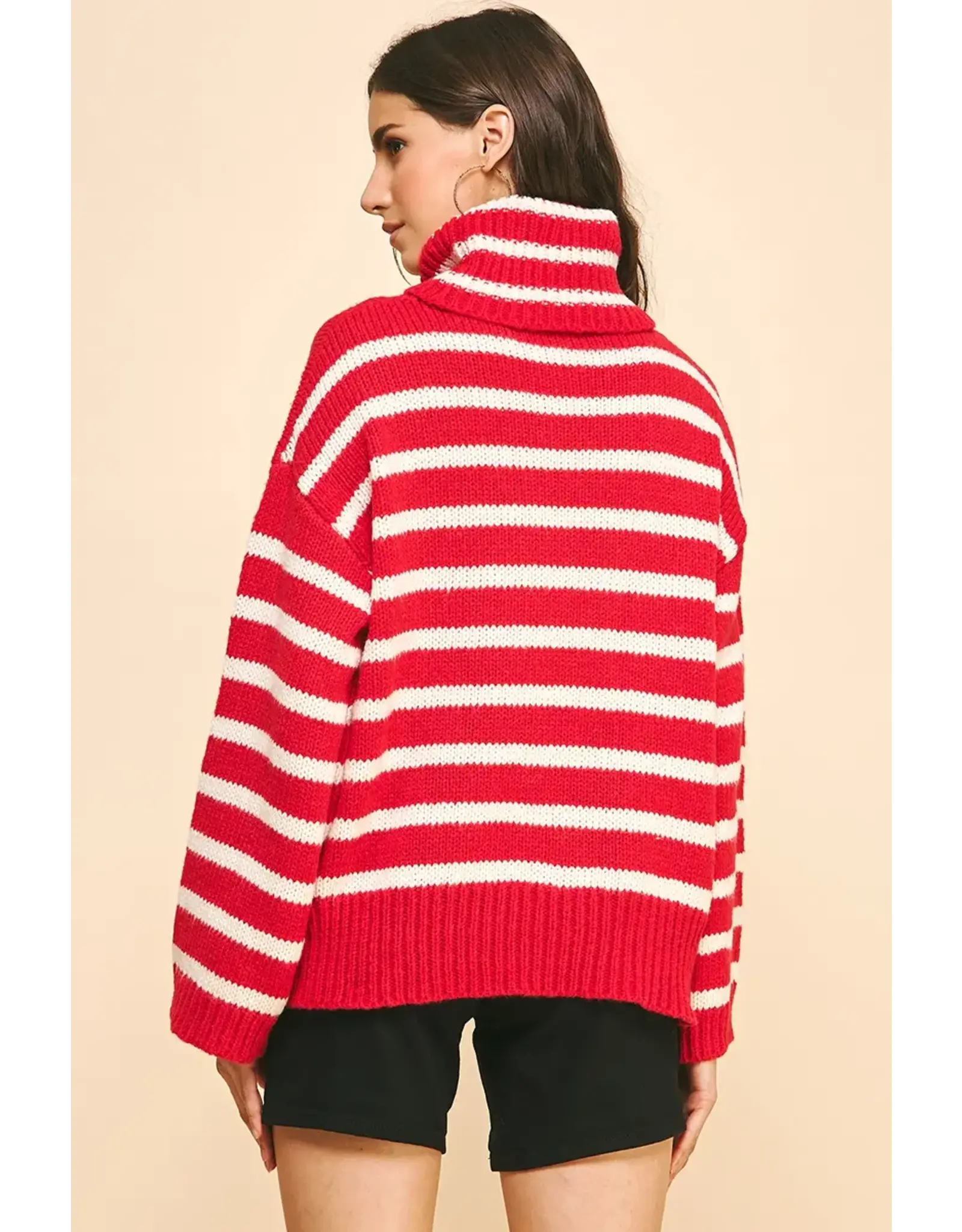 STRIPE TURTLE NECK SWEATER