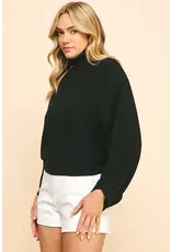 TURTLE NECK RAGLAN SLEEVE SWEATER