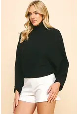 TURTLE NECK RAGLAN SLEEVE SWEATER
