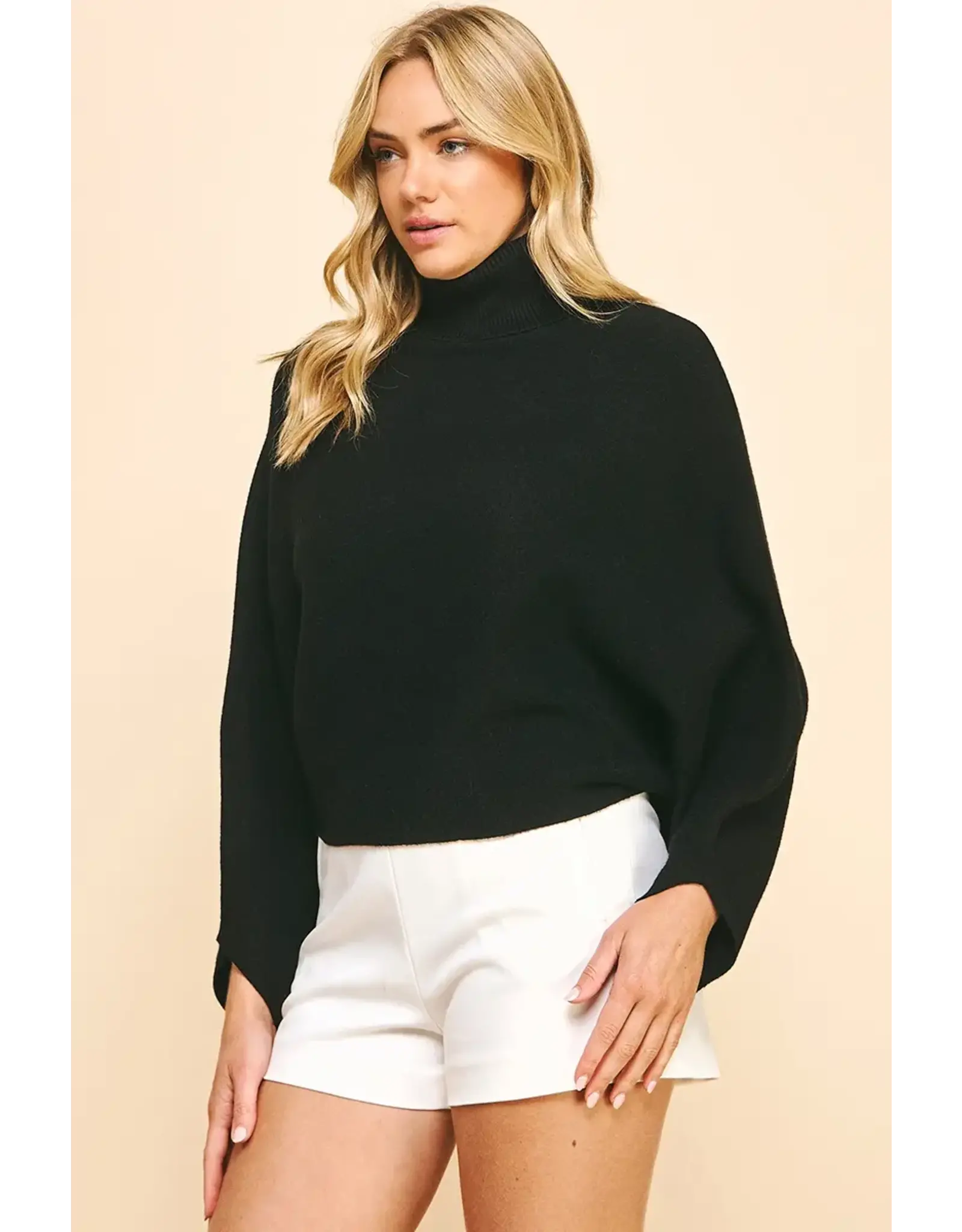 TURTLE NECK RAGLAN SLEEVE SWEATER