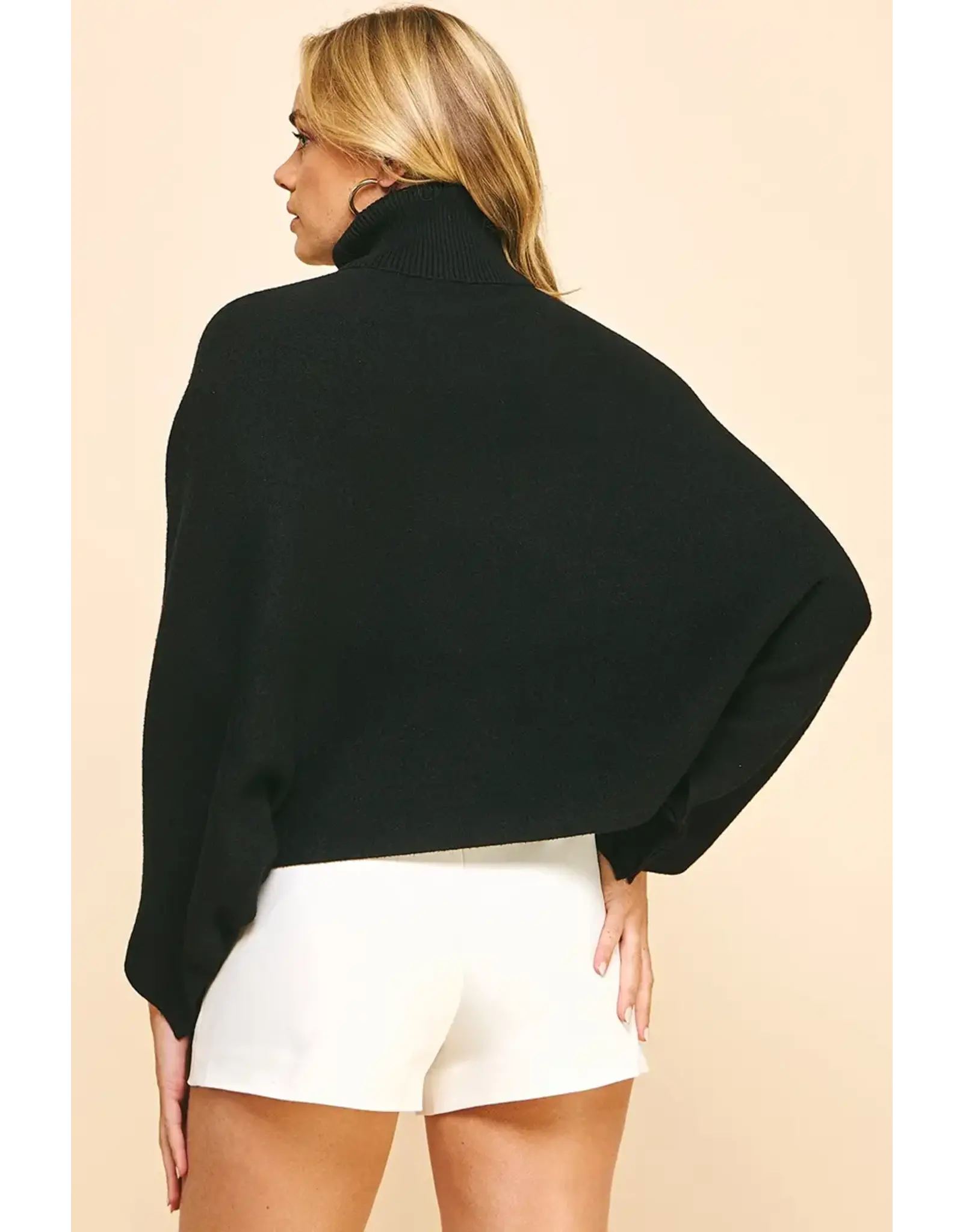 TURTLE NECK RAGLAN SLEEVE SWEATER