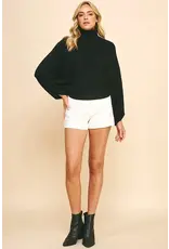 TURTLE NECK RAGLAN SLEEVE SWEATER