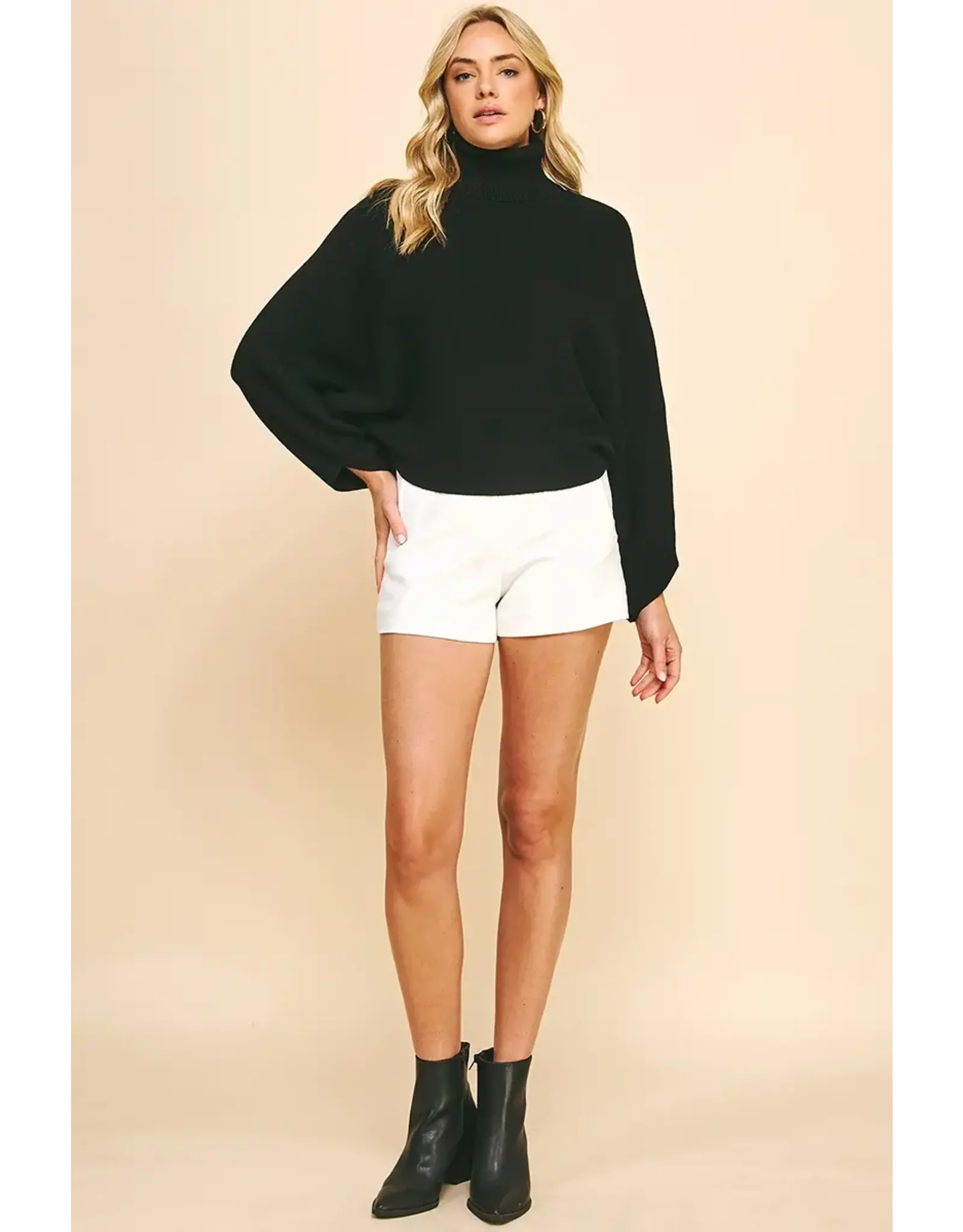TURTLE NECK RAGLAN SLEEVE SWEATER