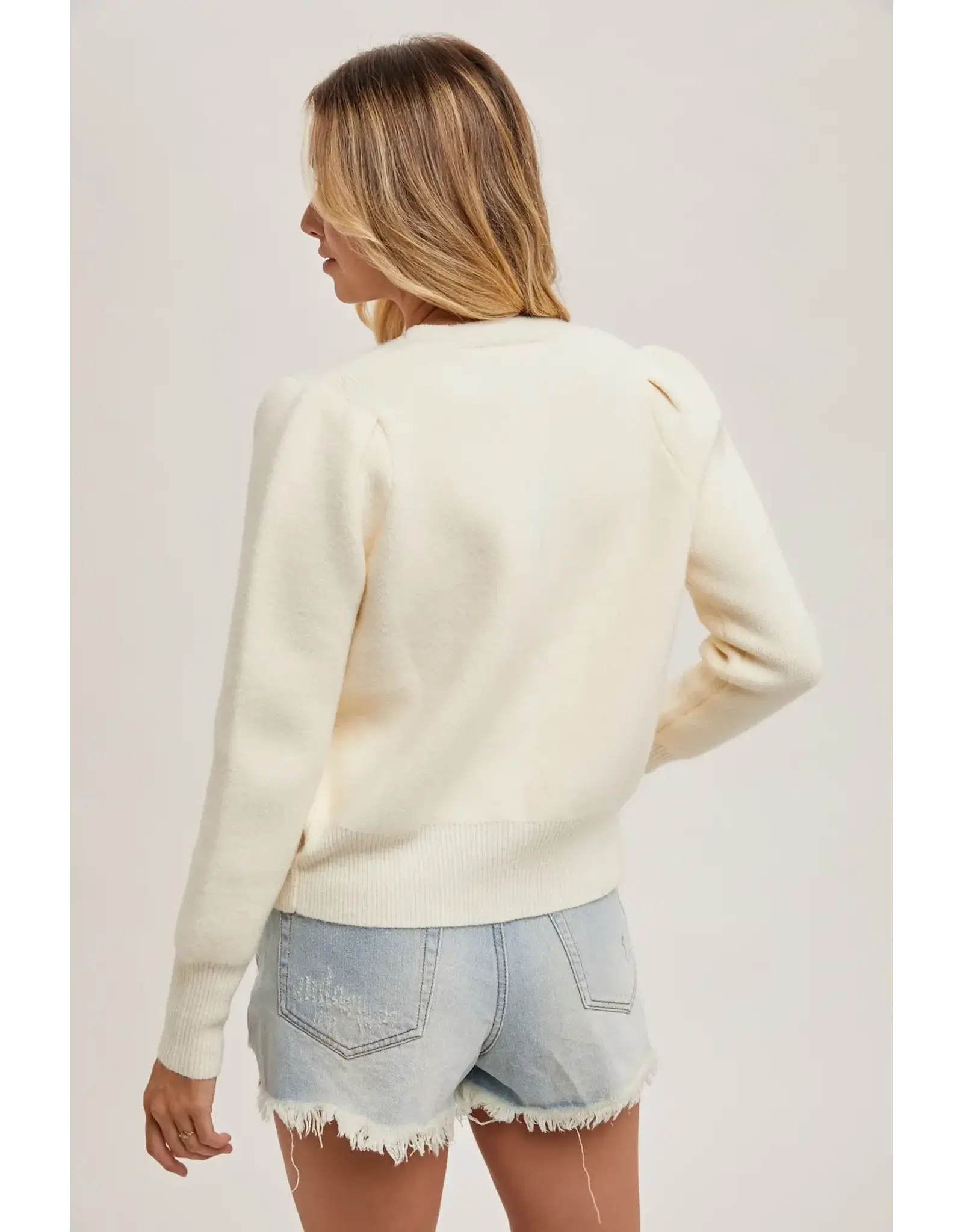 BLUIVY BUTTON DOWN VNECK CARDIGAN
