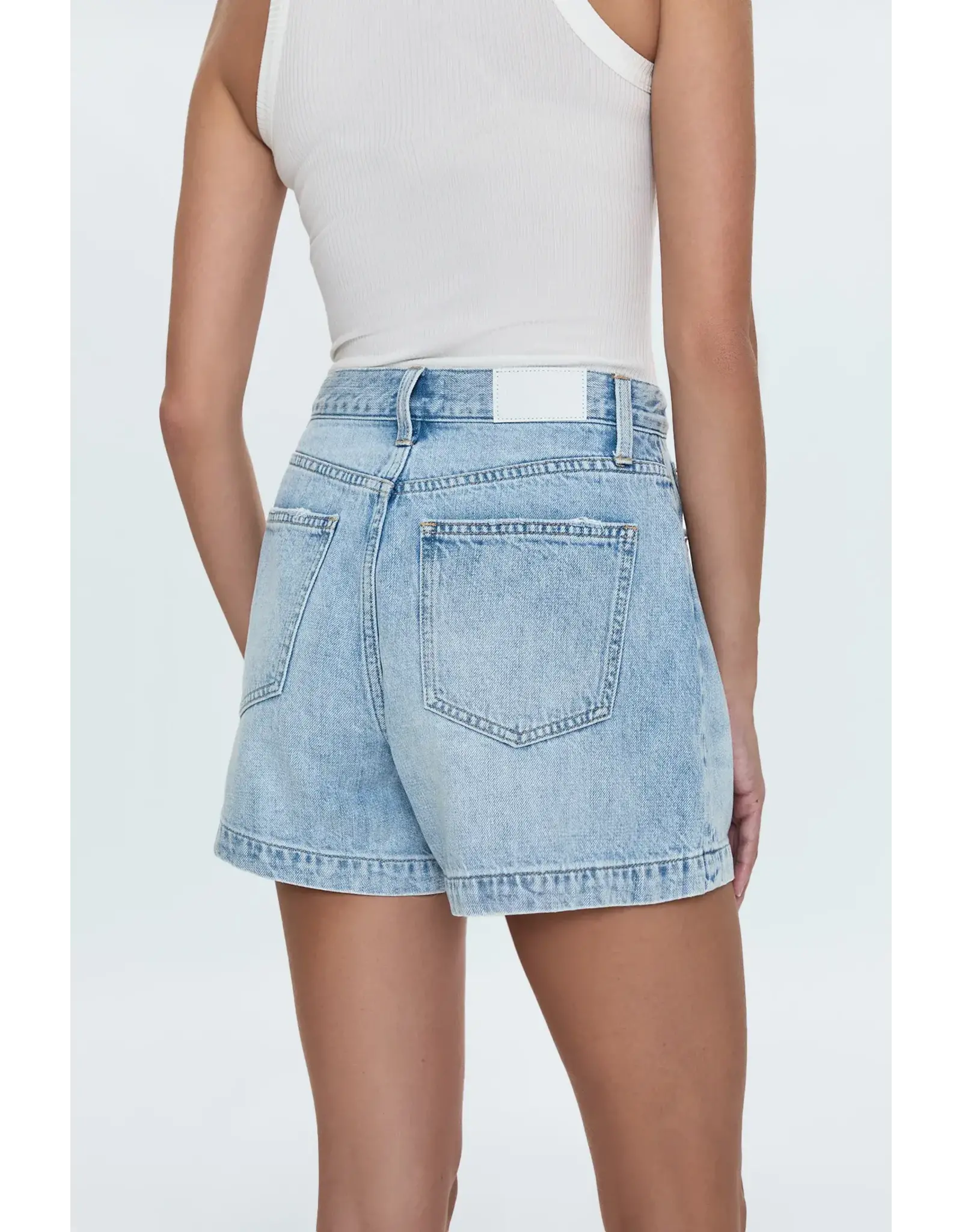 SAIGE HIGH RISE A-LINE SHORT
