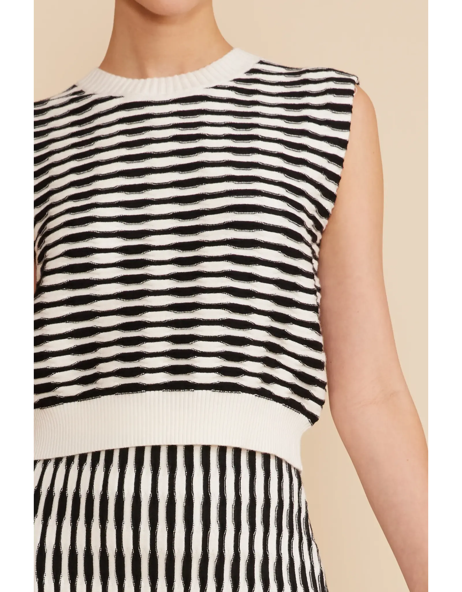 HORIZONTAL STRIPE KNIT TANK/SKIRT SET