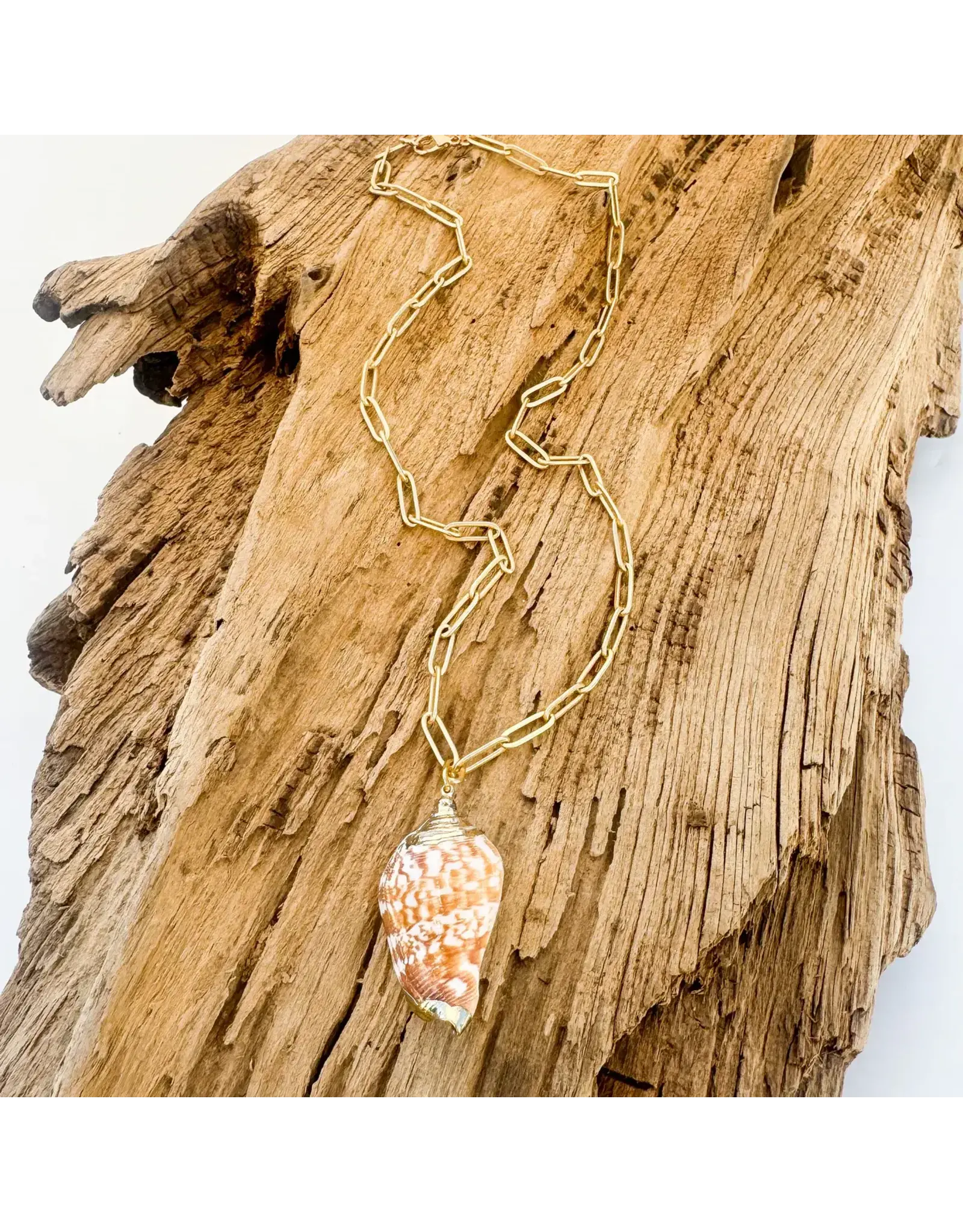 VIRTUE CONCH SHELL ON 18" LARGE PAPERCLIP