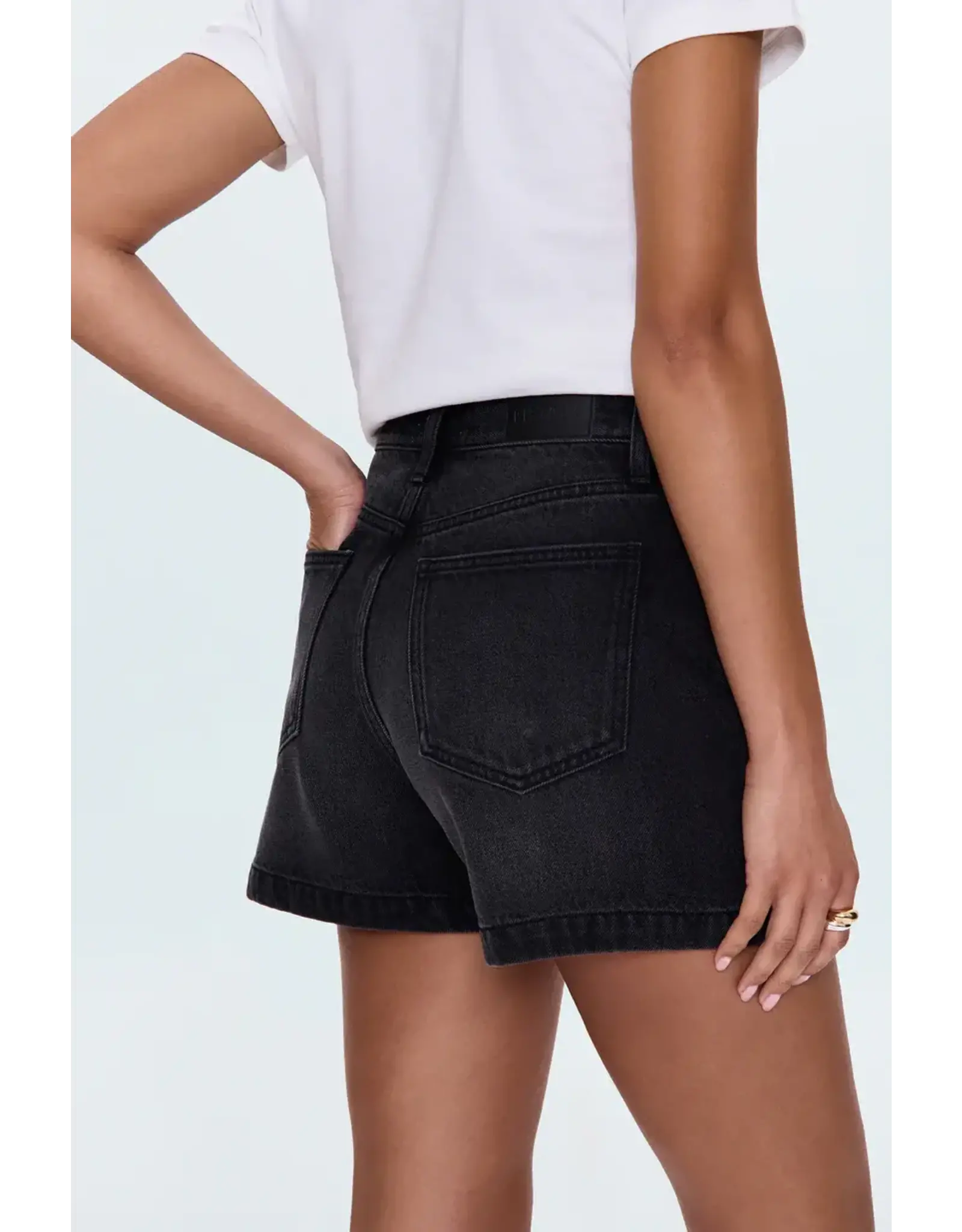 SAIGE HIGH RISE A-LINE SHORT
