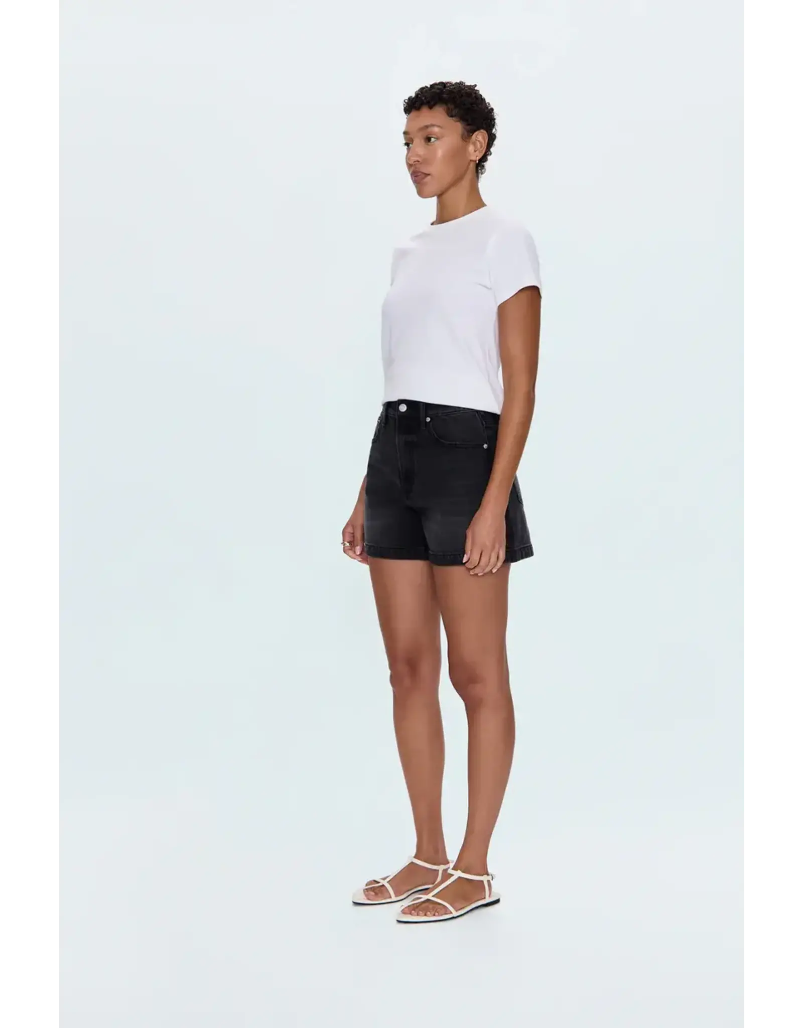 SAIGE HIGH RISE A-LINE SHORT