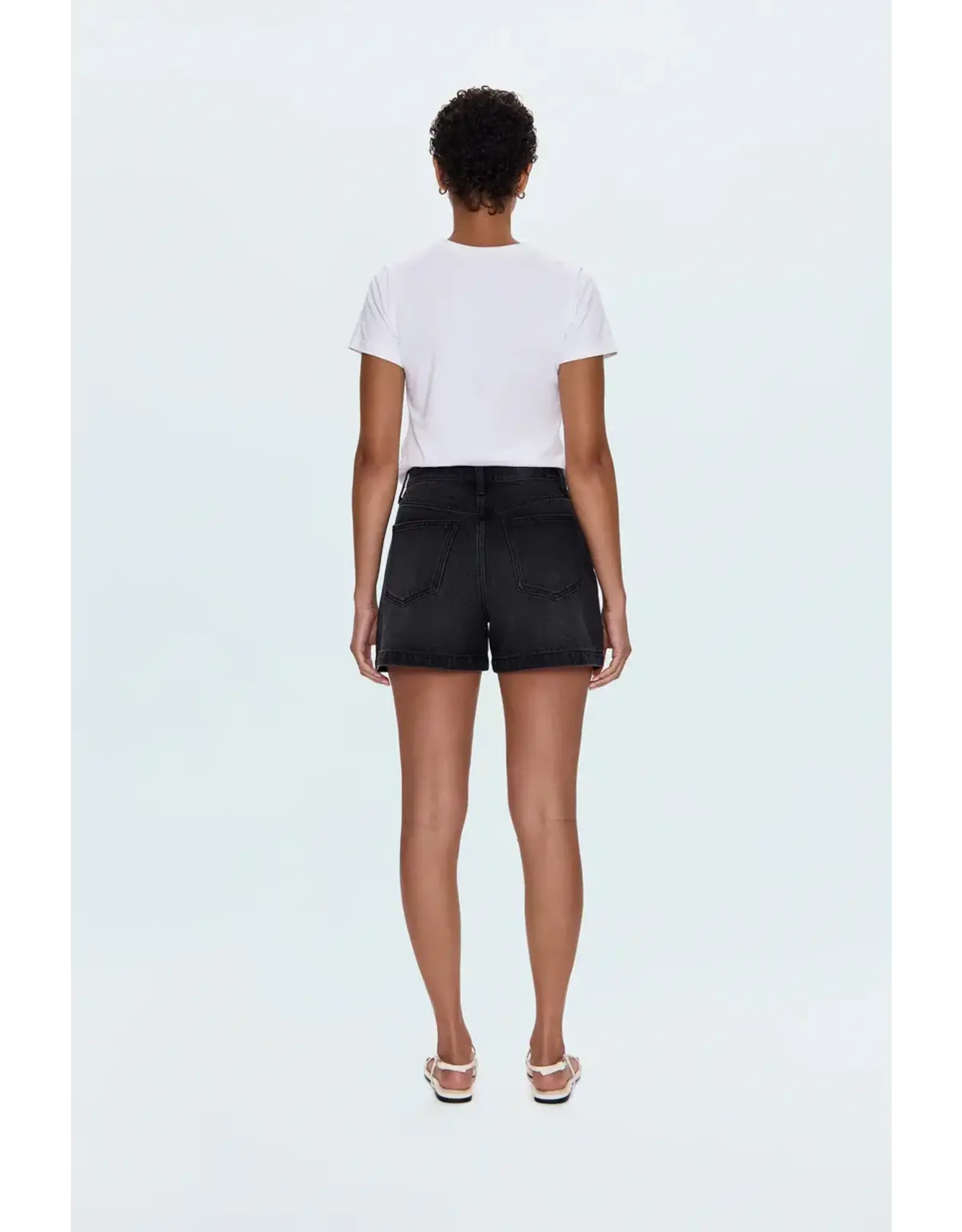 SAIGE HIGH RISE A-LINE SHORT