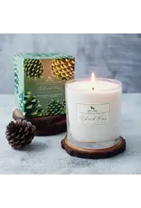 SOAP & PAPER FACTORY ROLAND PINE LARGE SOY CANDLE