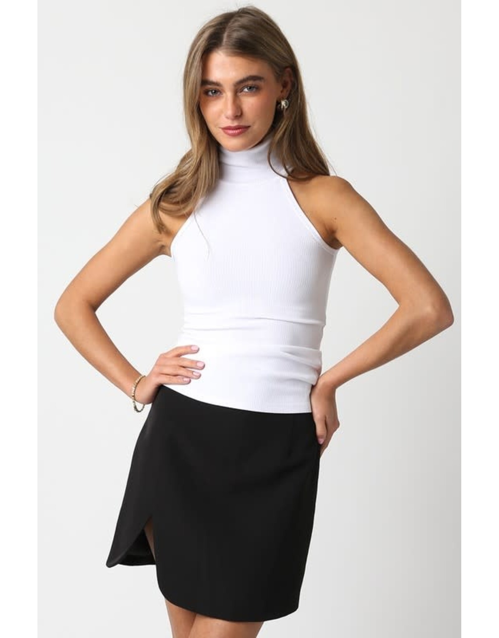 MODEMICA TURTLENECK TANK