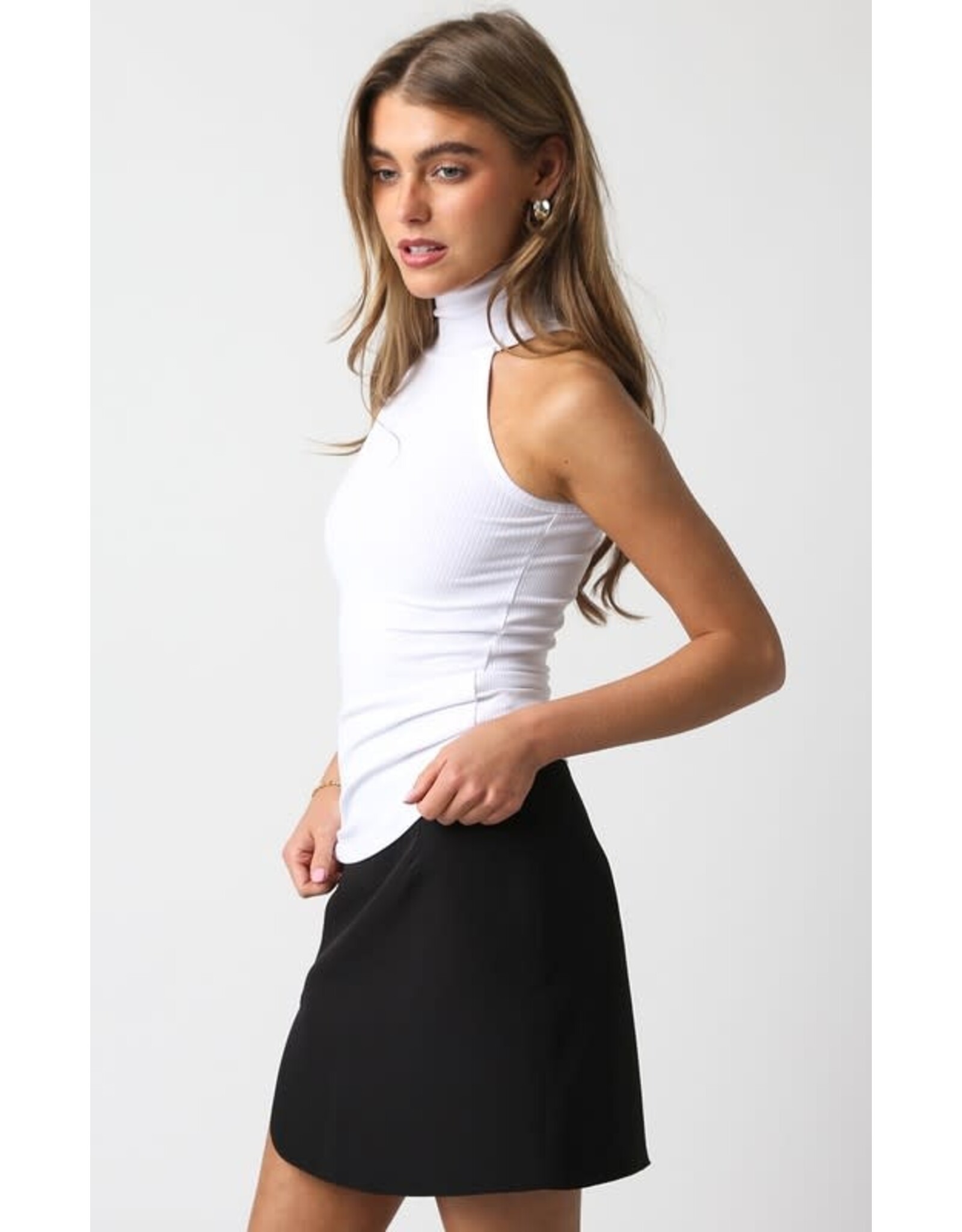 MODEMICA TURTLENECK TANK