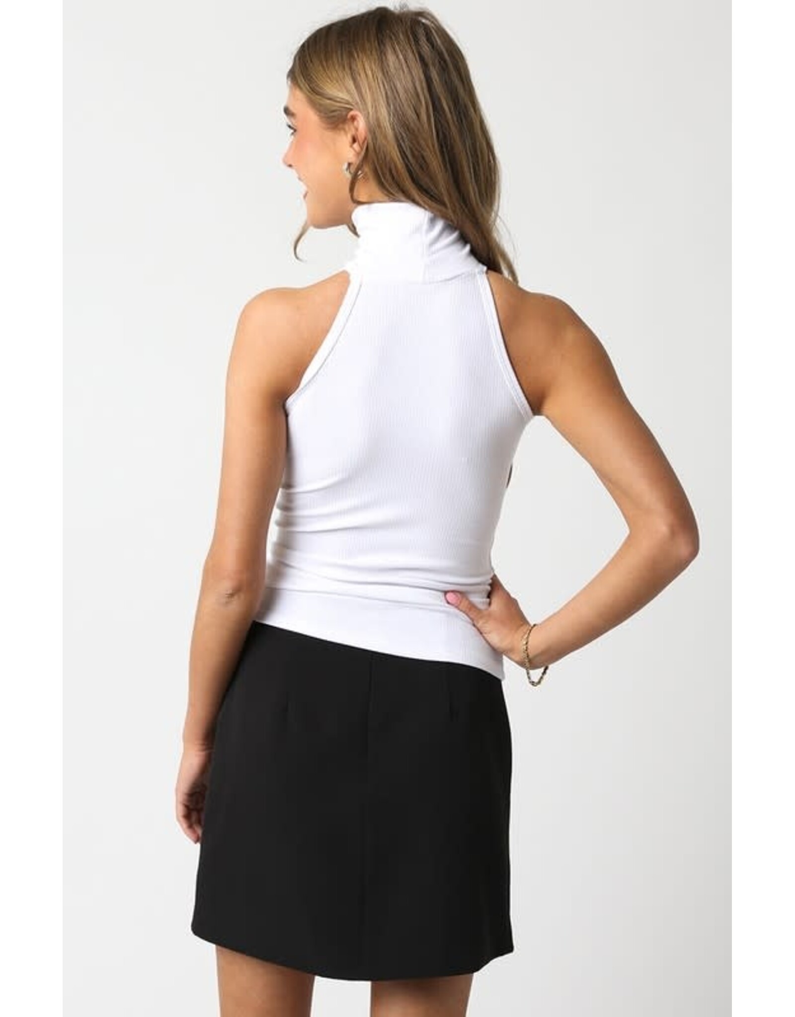 MODEMICA TURTLENECK TANK