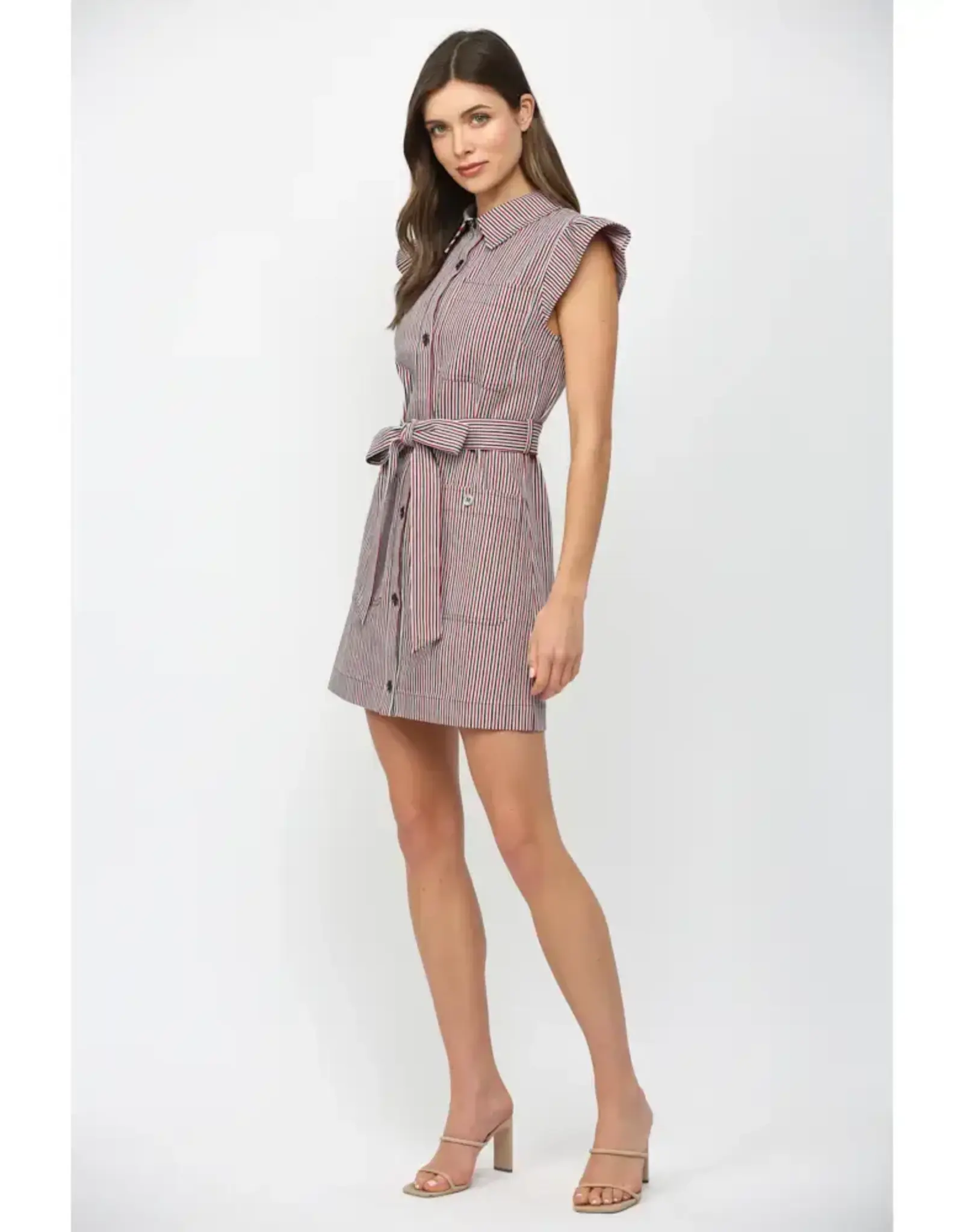 ELLA BUTTON DOWN MINI DRESS