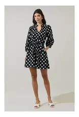 ISABELLE DOT MINI DRESS