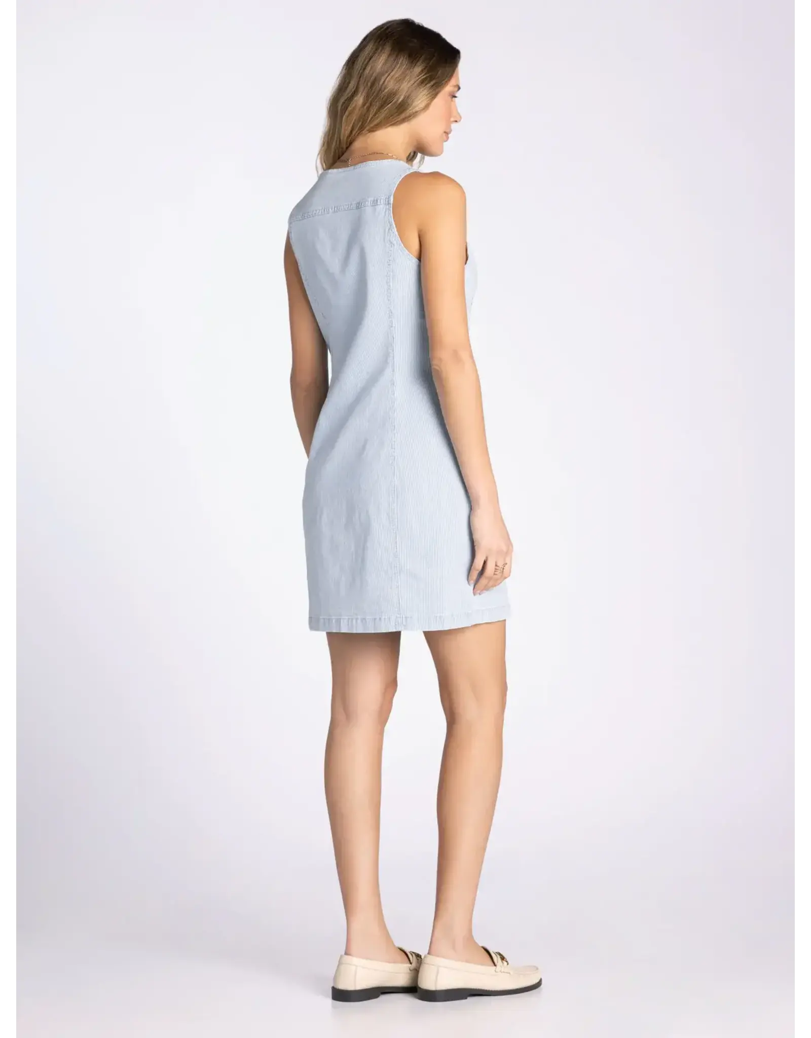 IRVING DENIM STRIPE DRESS