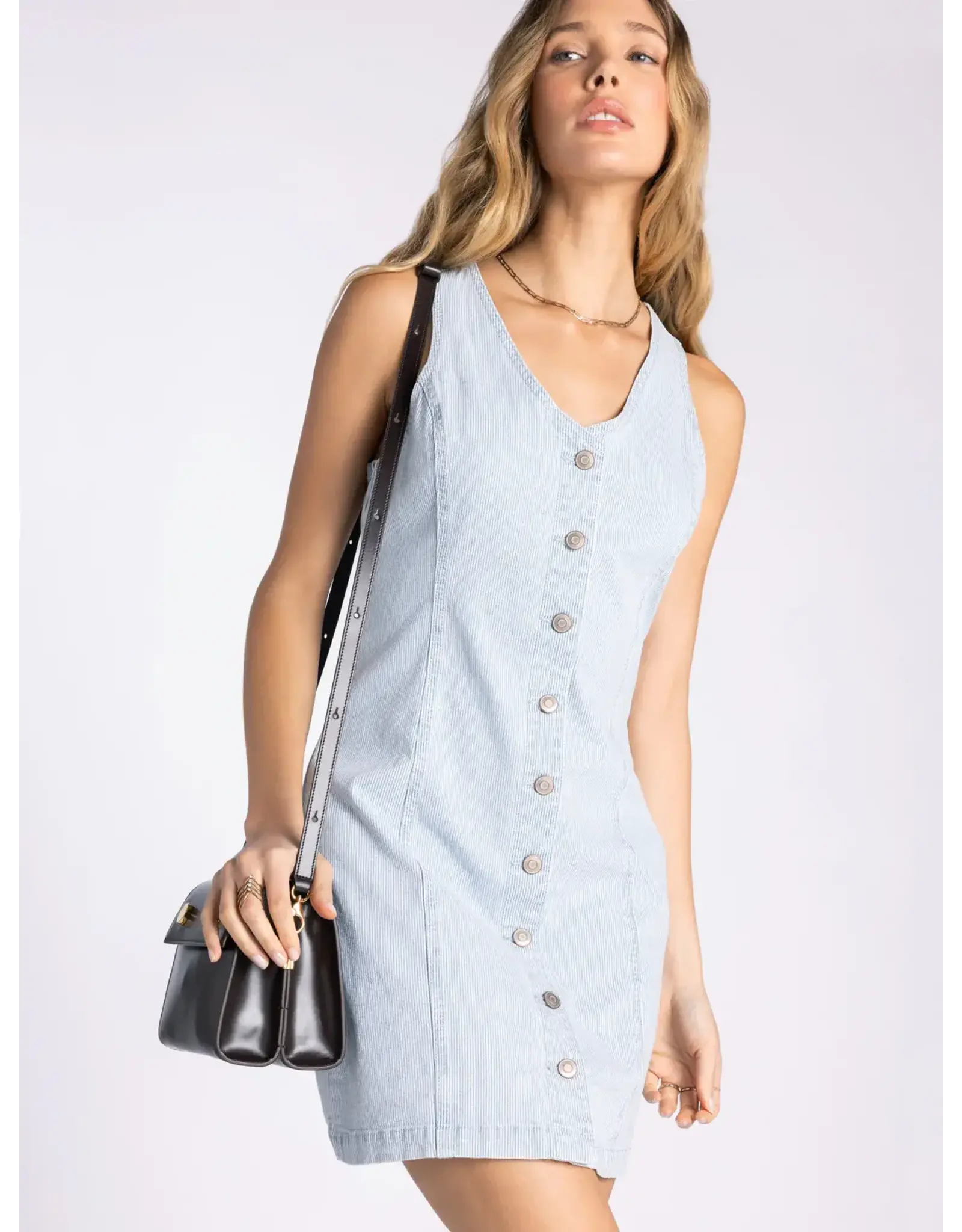 IRVING DENIM STRIPE DRESS