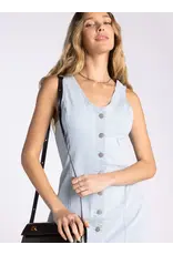 IRVING DENIM STRIPE DRESS