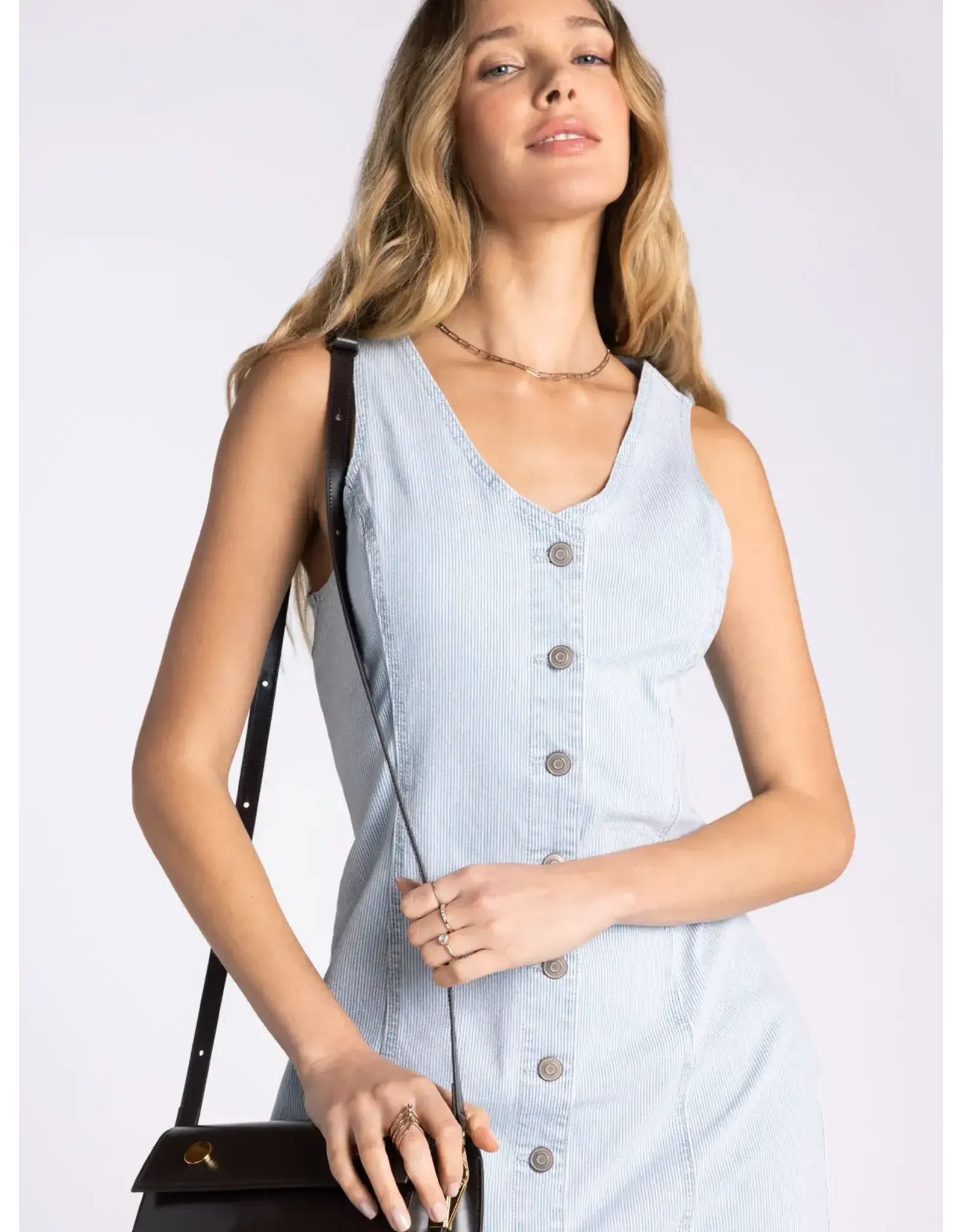 IRVING DENIM STRIPE DRESS