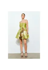 INA LIME FLORAL MINI DRESS