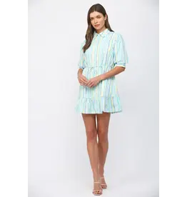 WATERCOLOR STRIPE PRINT MINI DRESS