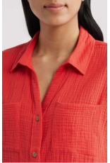 CHICAGO GUAZE BUTTON DOWN