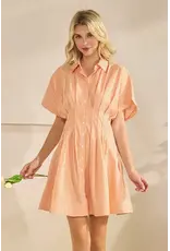 STAR DROP SSLV PLEATED STRIPE MINI SHIRT DRESS