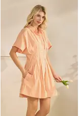 STAR DROP SSLV PLEATED STRIPE MINI SHIRT DRESS