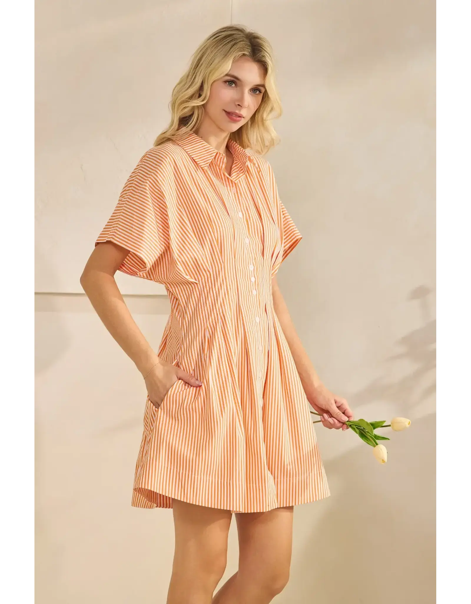 STAR DROP SSLV PLEATED STRIPE MINI SHIRT DRESS
