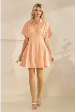 STAR DROP SSLV PLEATED STRIPE MINI SHIRT DRESS