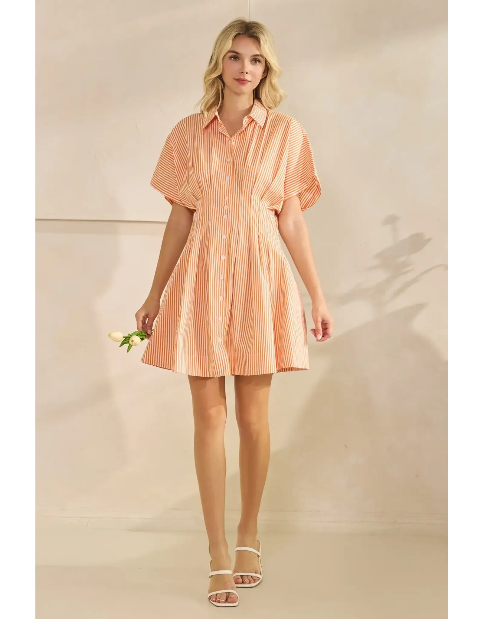 STAR DROP SSLV PLEATED STRIPE MINI SHIRT DRESS