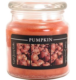 Crystal Journey Spiced Pumpkin Candle