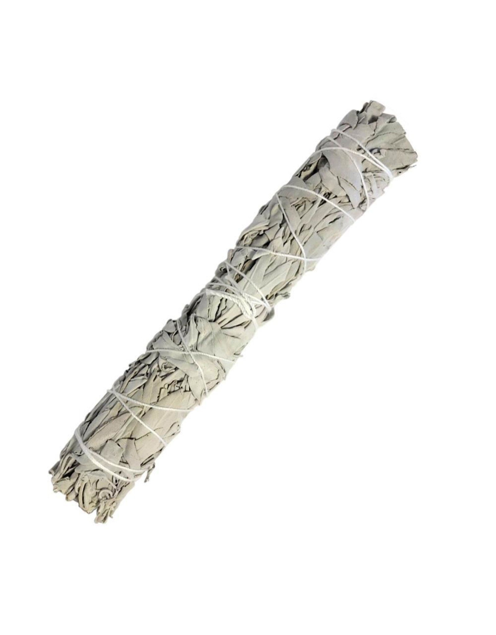 9 in California White Sage Bundle