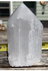 Rough & Polished Selenite Point