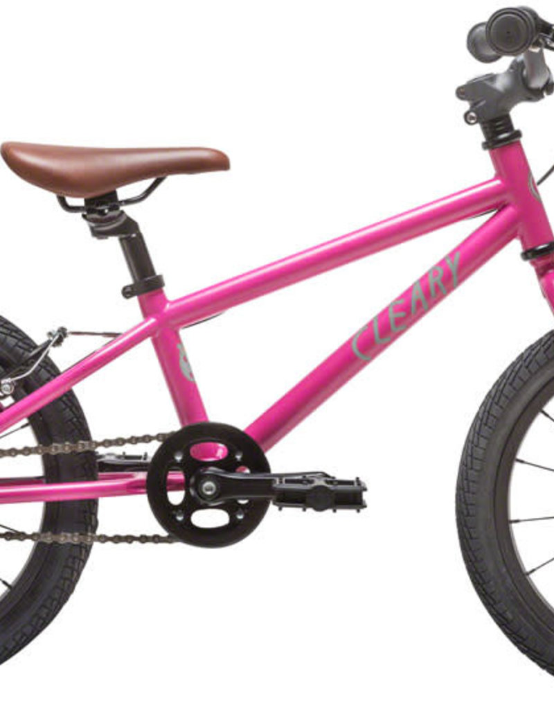 cleary bikes hedgehog