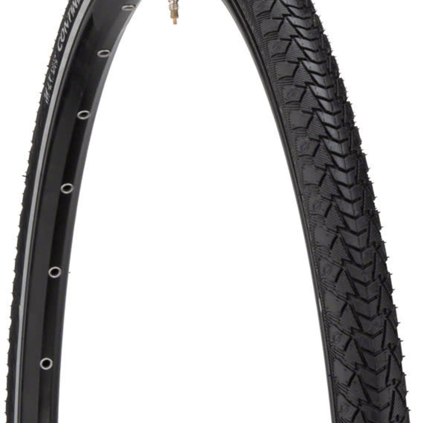 Continental Continental Contact Plus Tire - 700 x 28, Clincher, Wire, Black