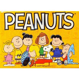 Aquarius Magnet - Peanuts - Group