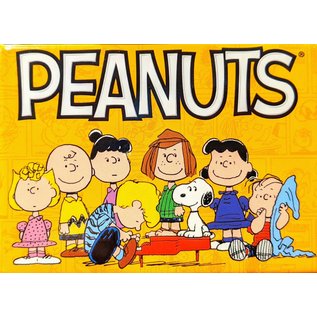 Aquarius Magnet - Peanuts - Group