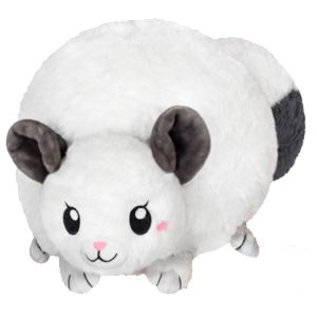 squishables cat