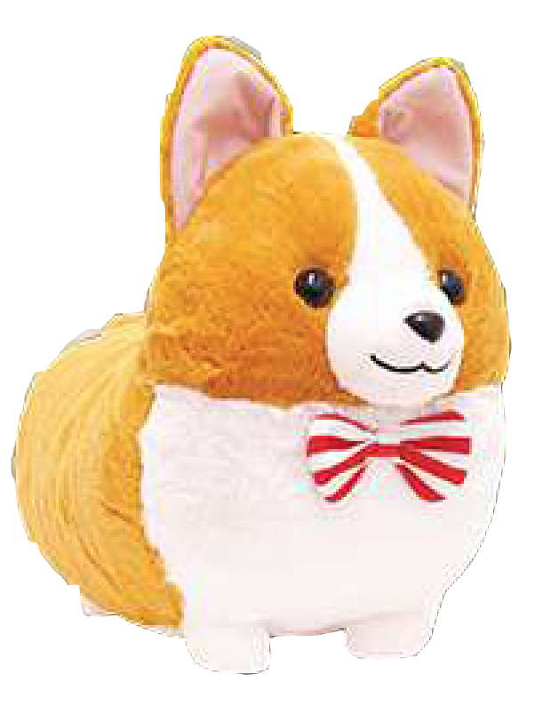ichini corgi