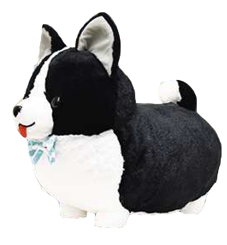 ichini corgi