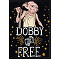 Ata-Boy Magnet - Harry Potter - Dobby is Free