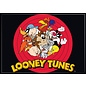 Ata-Boy Magnet - Looney Tunes - Logo and Group Photo